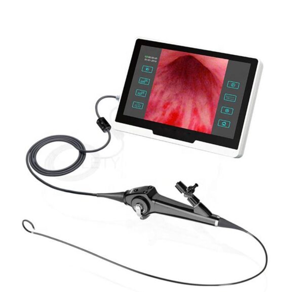 Digital Nephroscopes & Cystoscopes